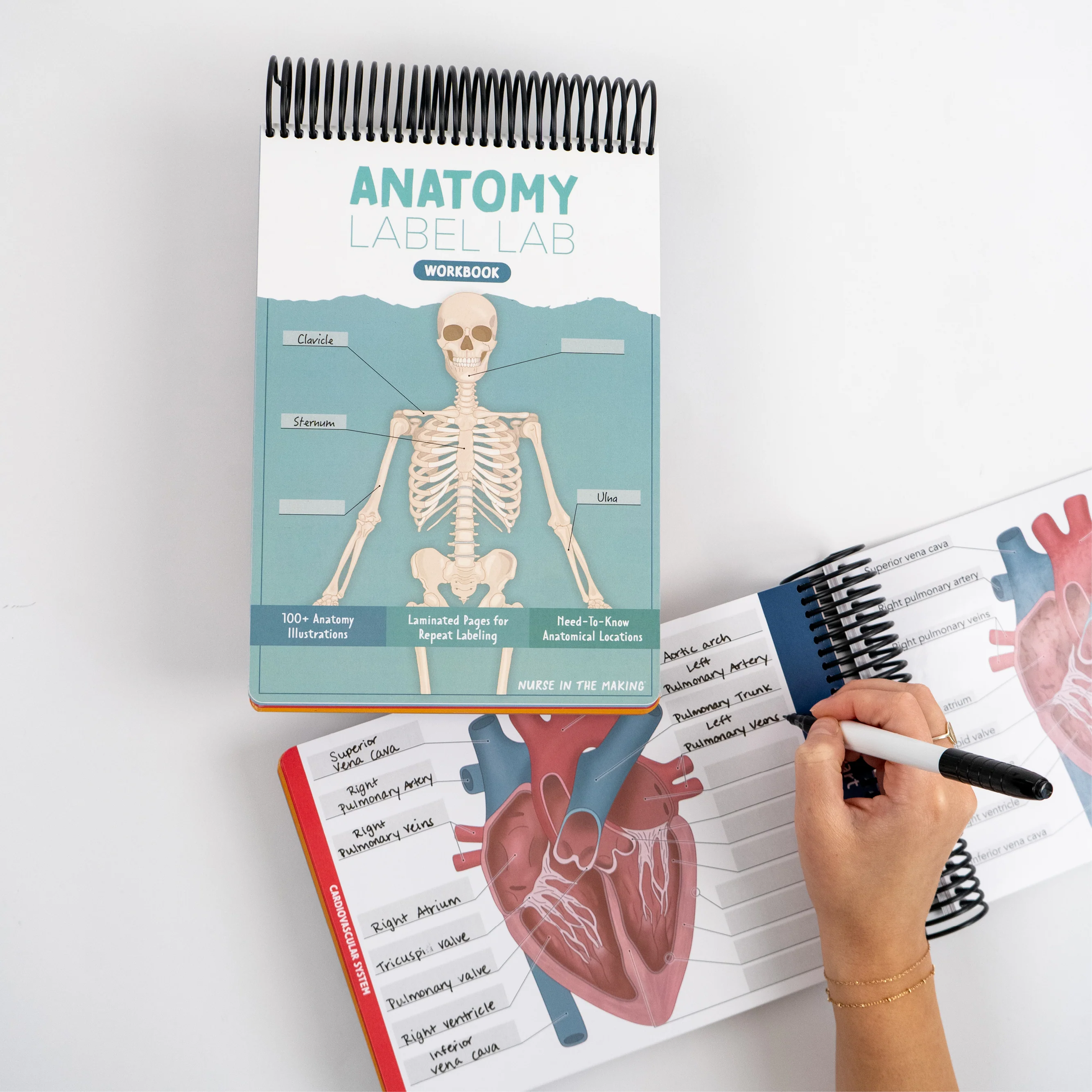 Books & Guides
